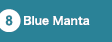 Blue Manta